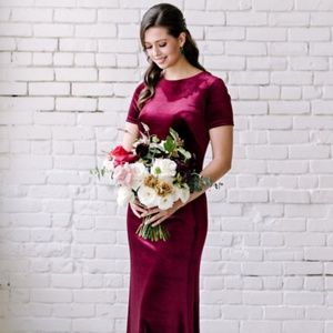 Revelry Naomi Velvet Dress